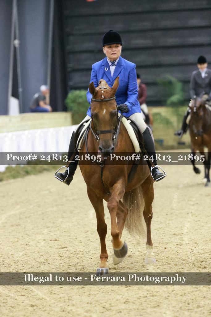 Proof 24R13_21895