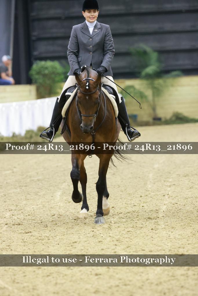 Proof 24R13_21896