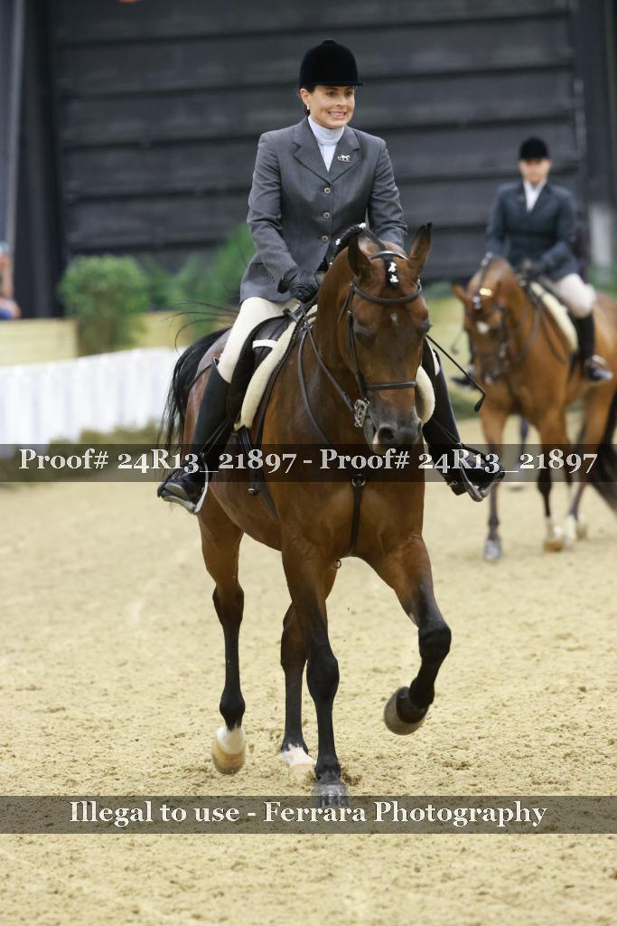 Proof 24R13_21897