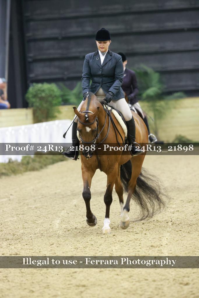 Proof 24R13_21898