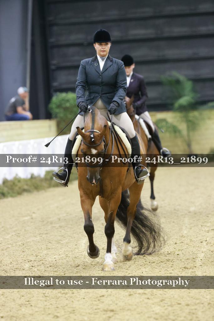 Proof 24R13_21899