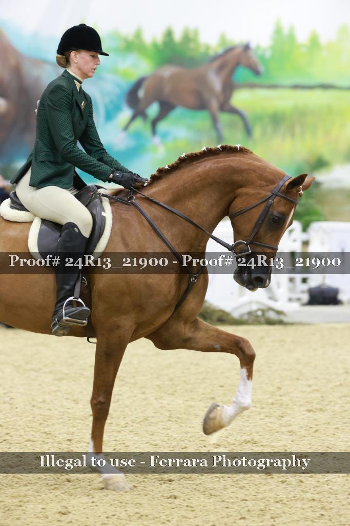 Proof 24R13_21900