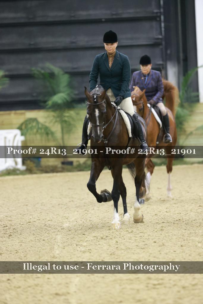 Proof 24R13_21901