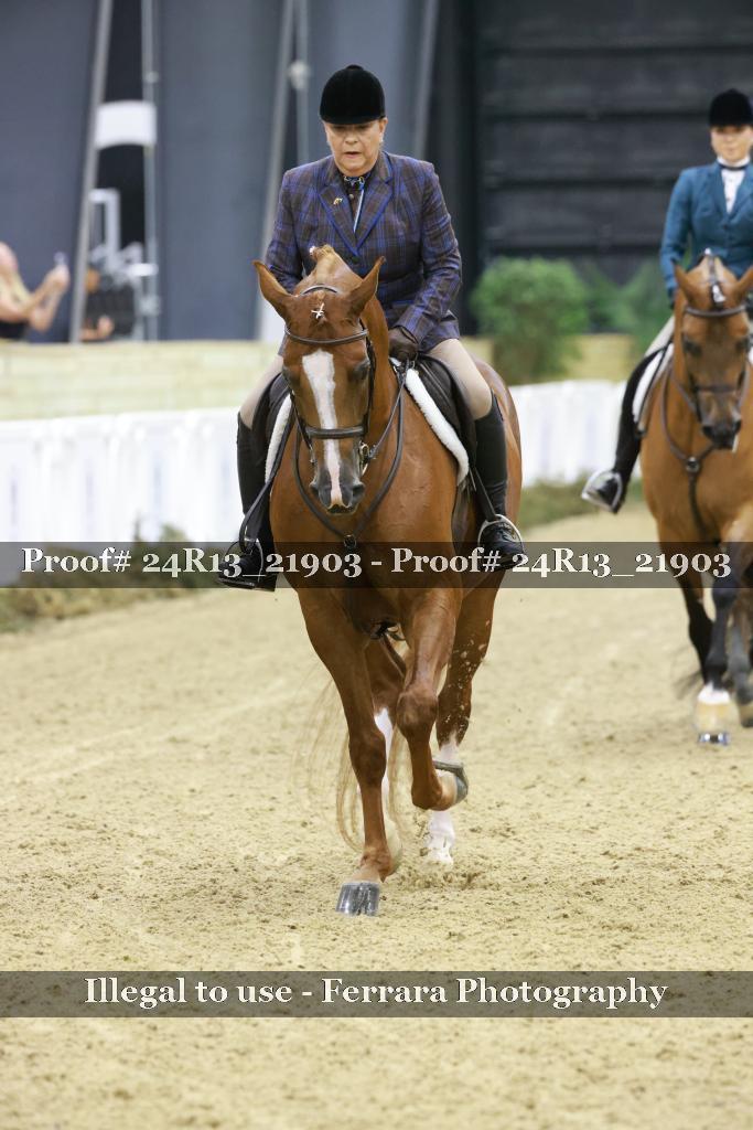 Proof 24R13_21903