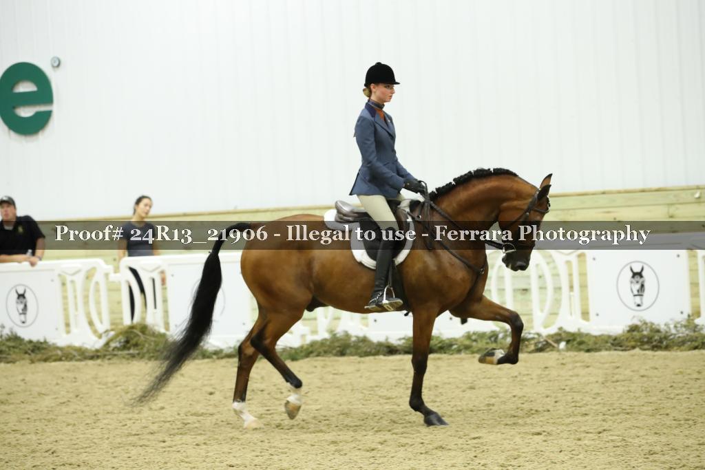 Proof 24R13_21906