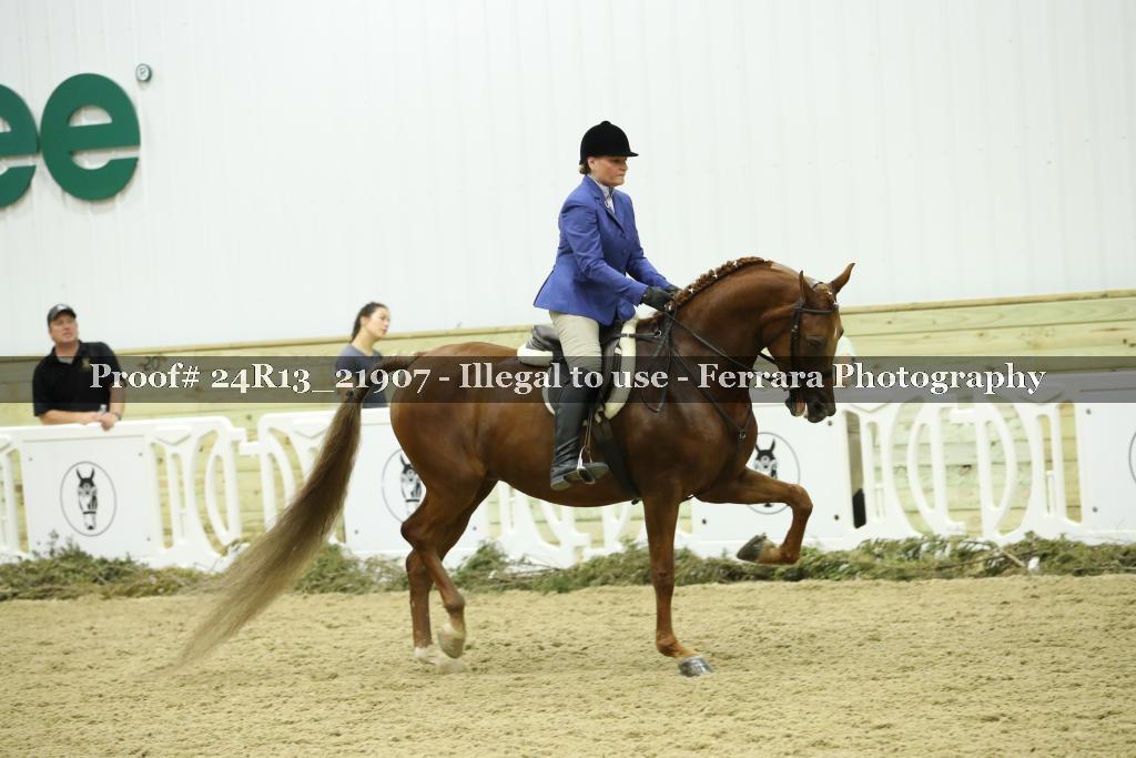 Proof 24R13_21907