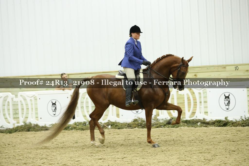 Proof 24R13_21908