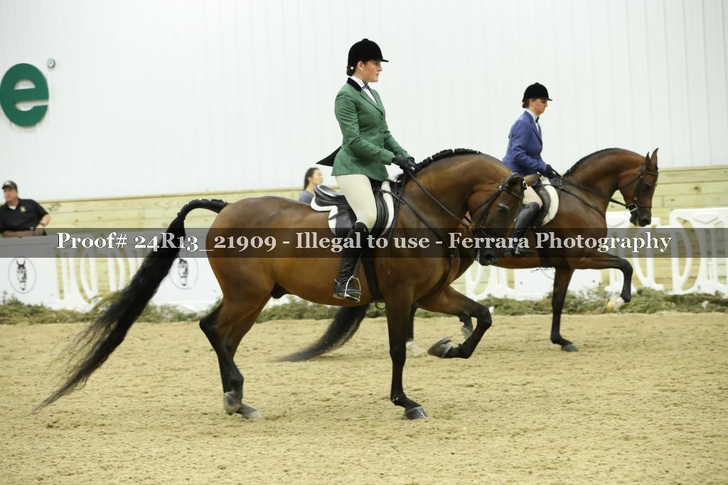 Proof 24R13_21909