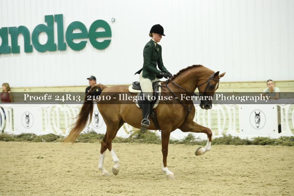 Proof 24R13_21910