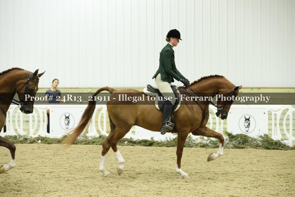 Proof 24R13_21911