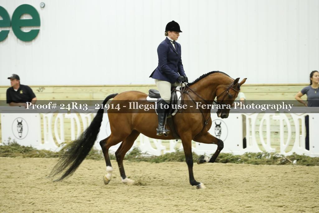 Proof 24R13_21914