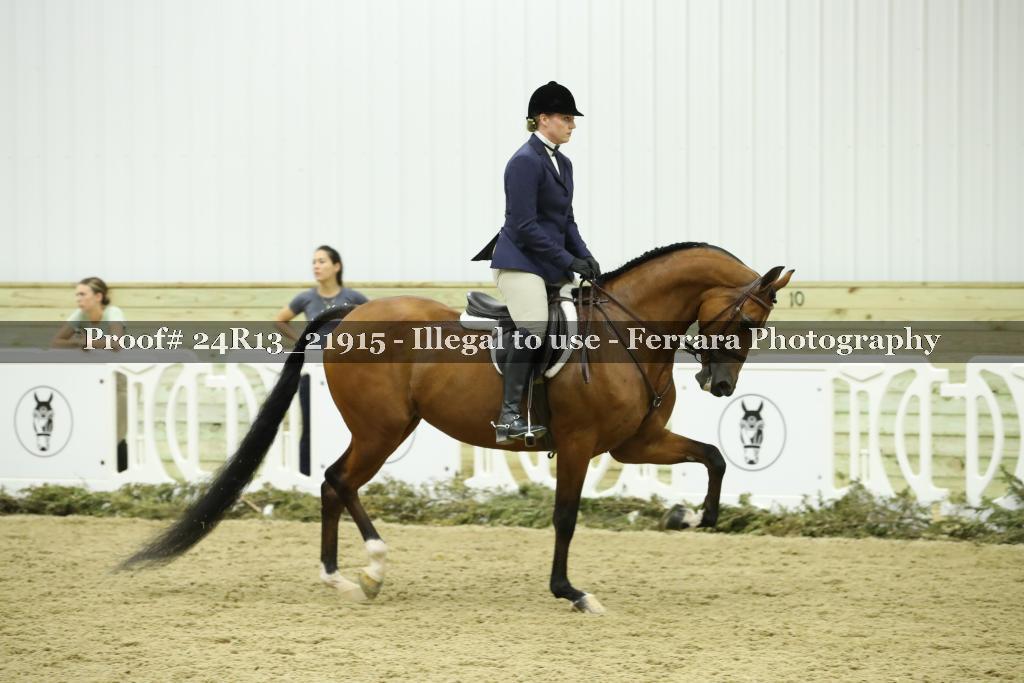 Proof 24R13_21915