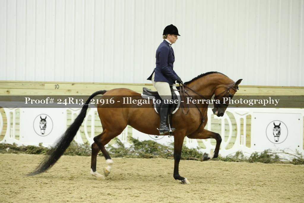Proof 24R13_21916