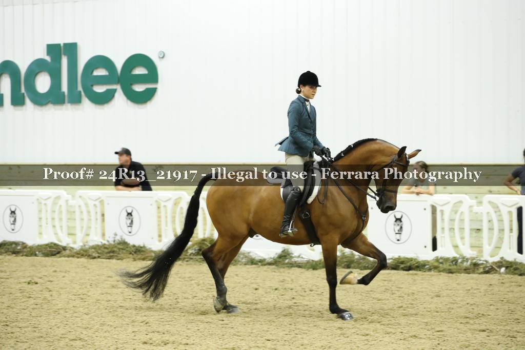 Proof 24R13_21917