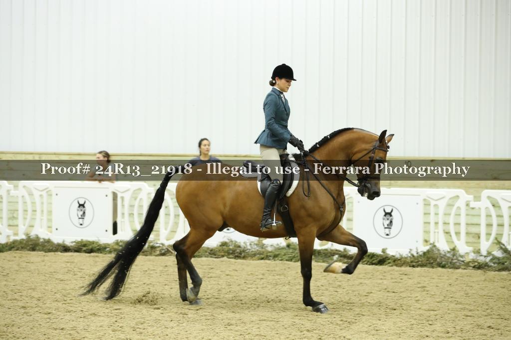 Proof 24R13_21918