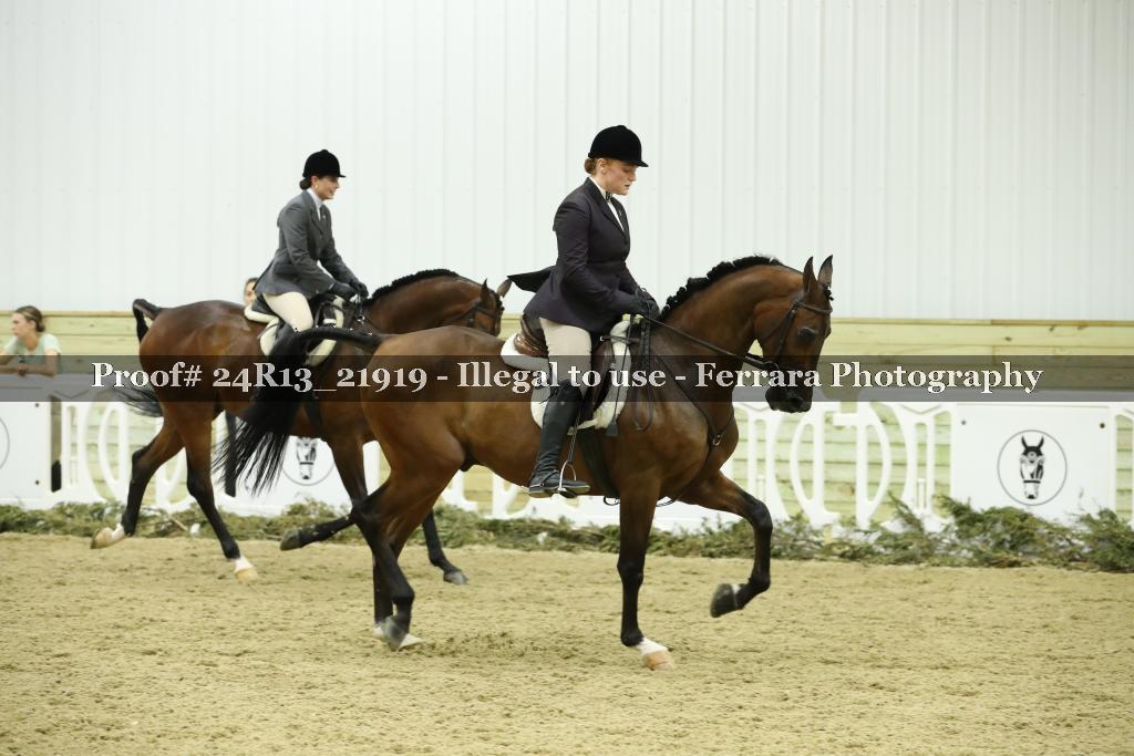 Proof 24R13_21919