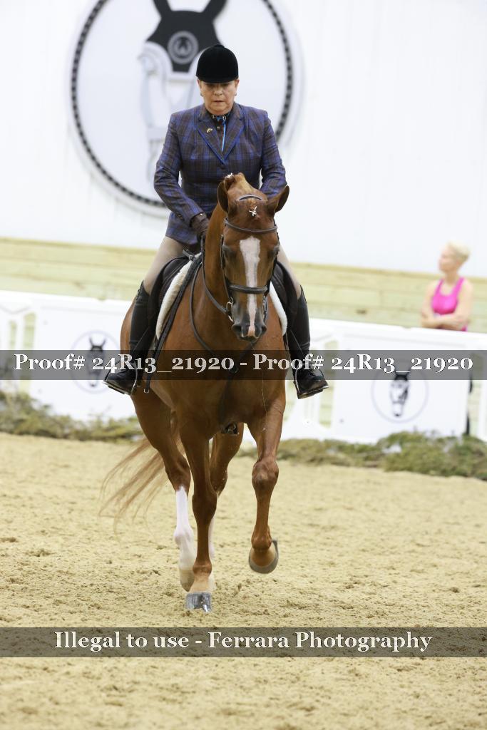 Proof 24R13_21920