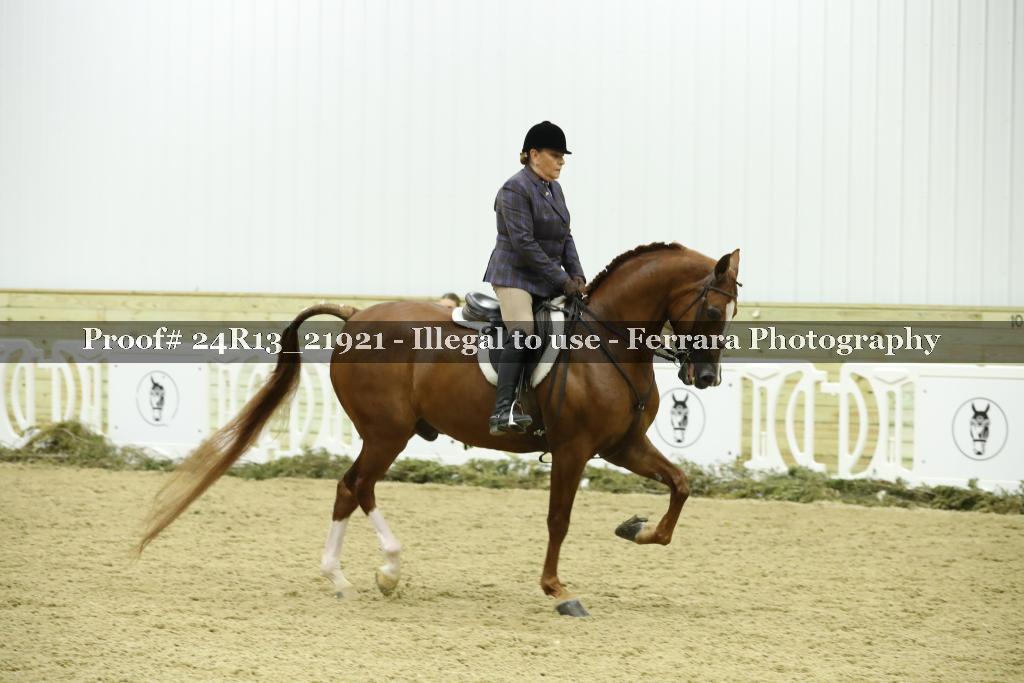Proof 24R13_21921
