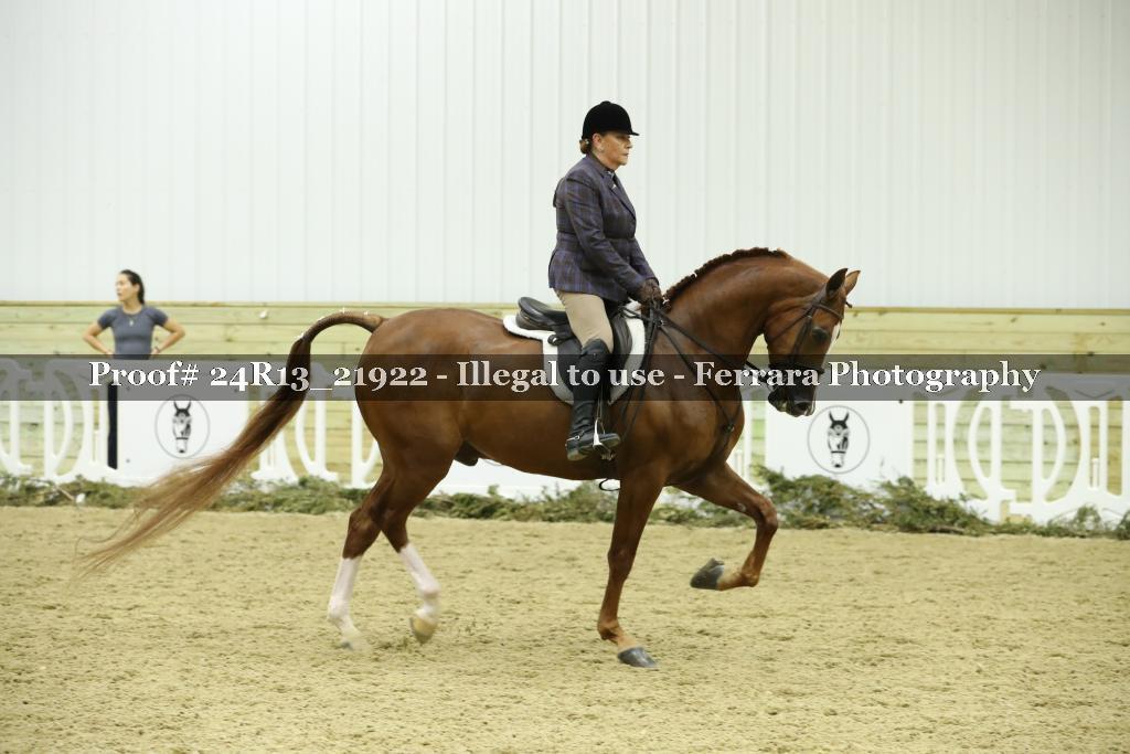 Proof 24R13_21922