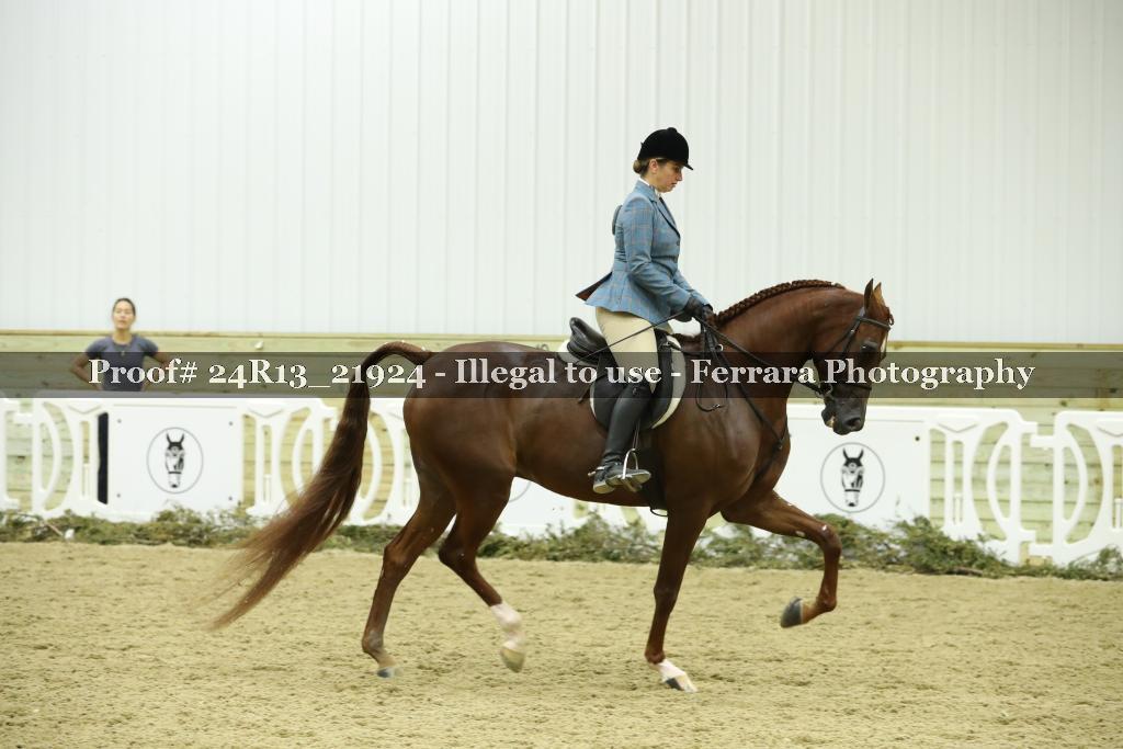Proof 24R13_21924