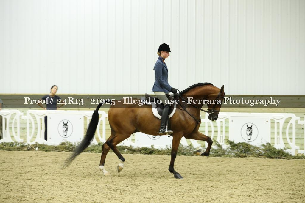 Proof 24R13_21925