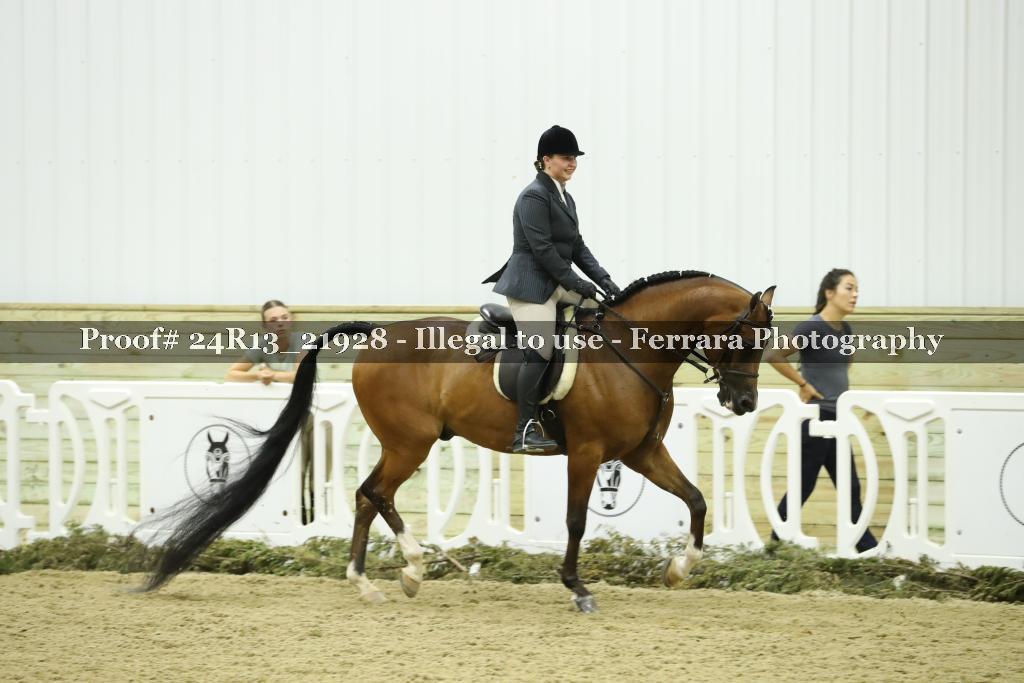 Proof 24R13_21928