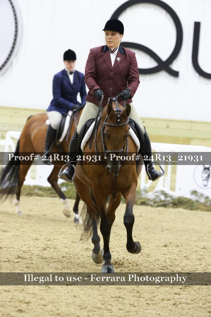 Proof 24R13_21931