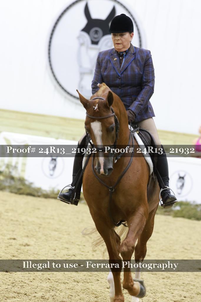 Proof 24R13_21932