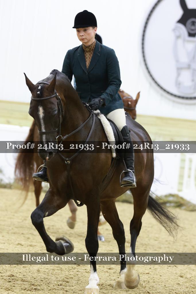 Proof 24R13_21933