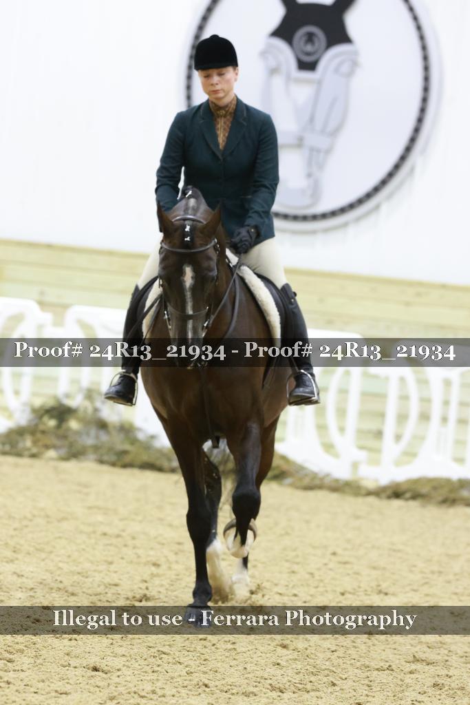 Proof 24R13_21934