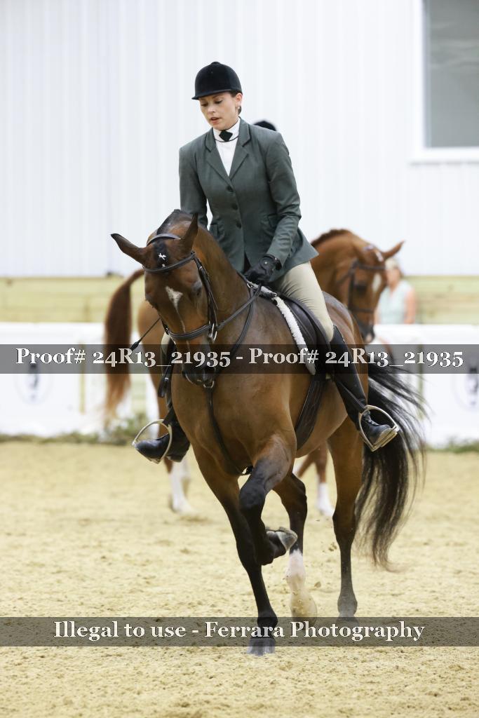 Proof 24R13_21935