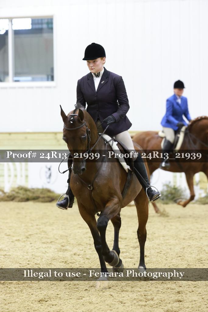 Proof 24R13_21939