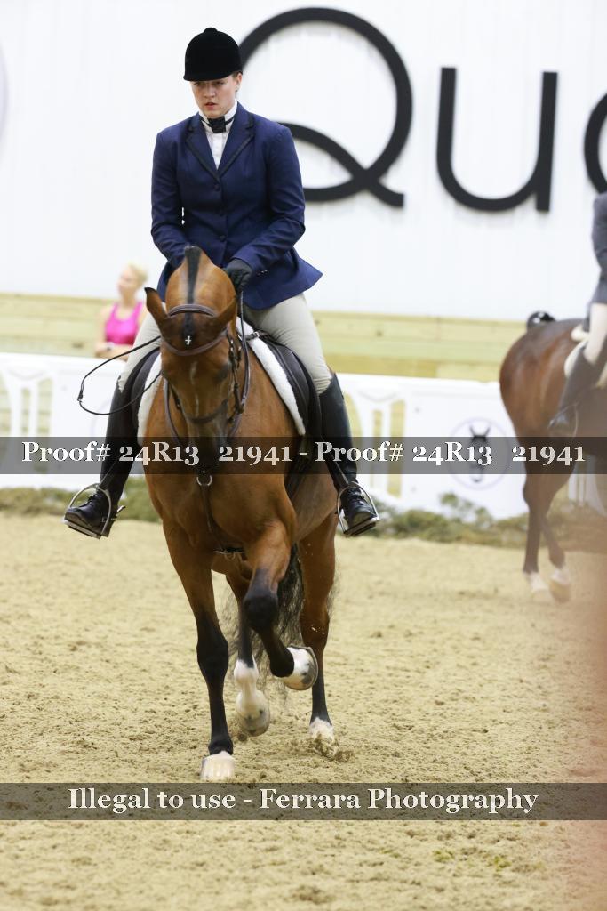 Proof 24R13_21941