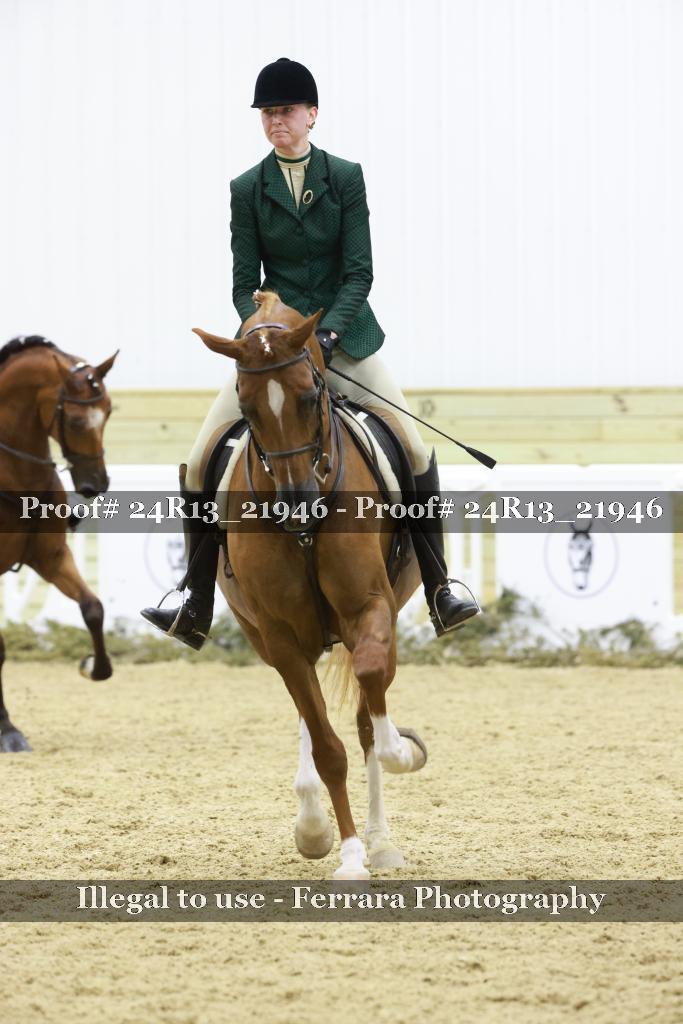 Proof 24R13_21946