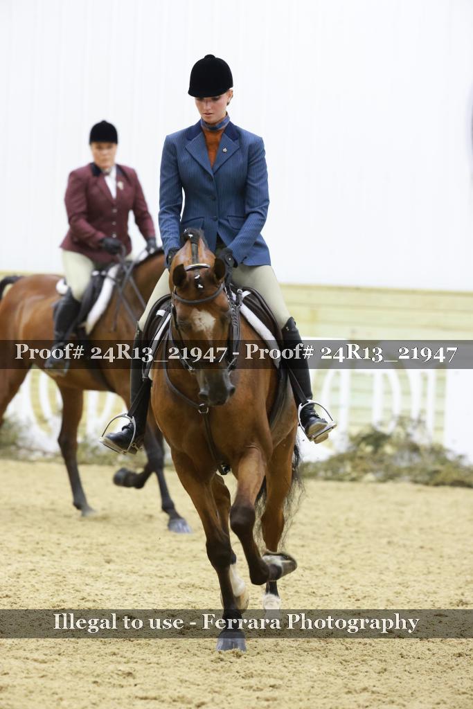 Proof 24R13_21947