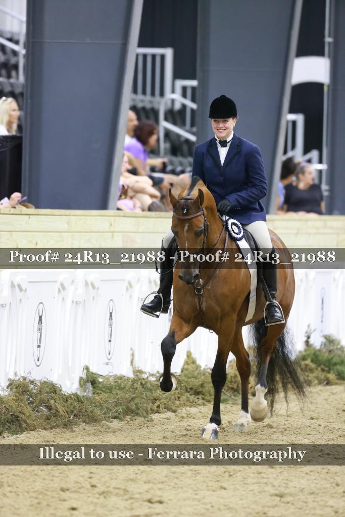 Proof 24R13_21988
