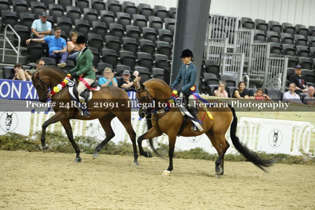 Proof 24R13_21991