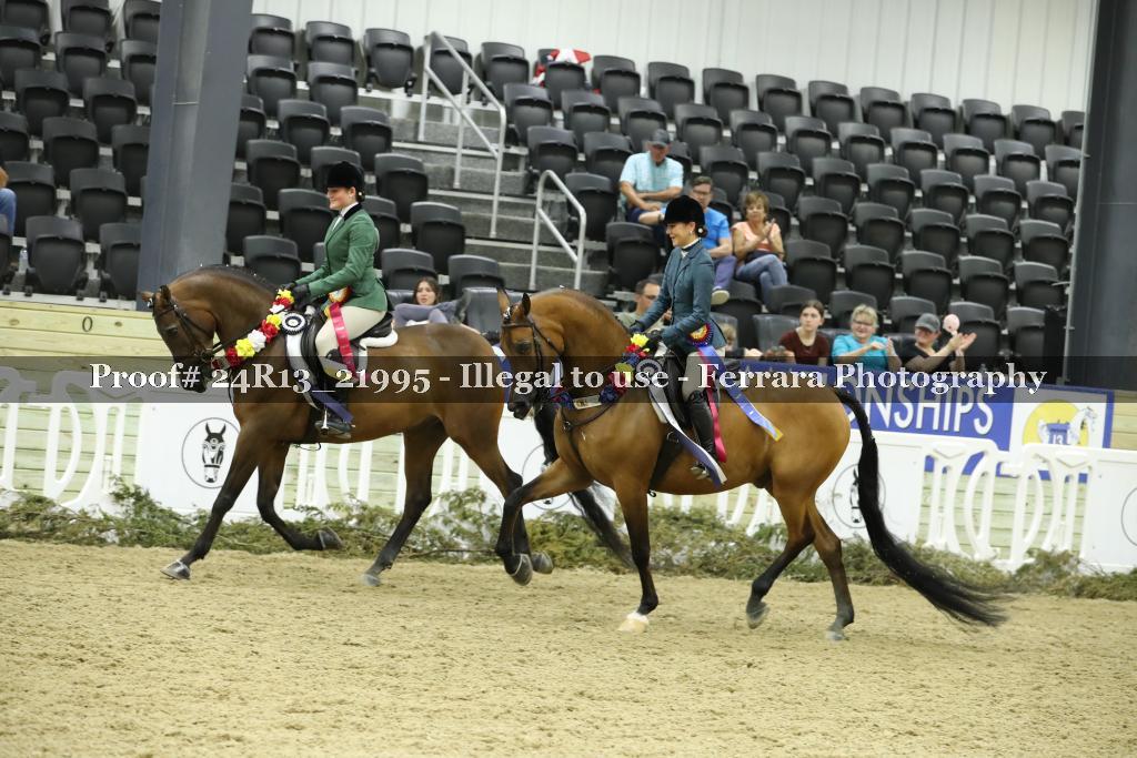 Proof 24R13_21995