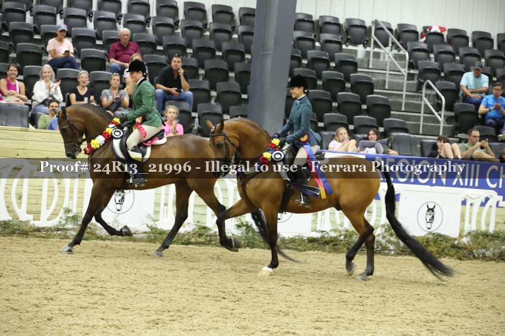 Proof 24R13_21996