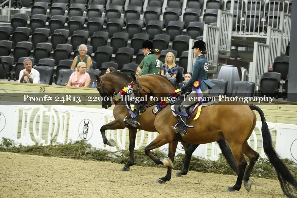 Proof 24R13_22001