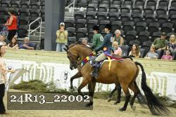 24R13_22002 proof
