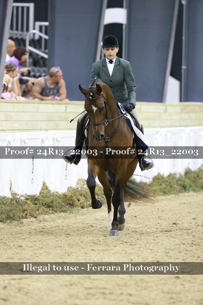 Proof 24R13_22003