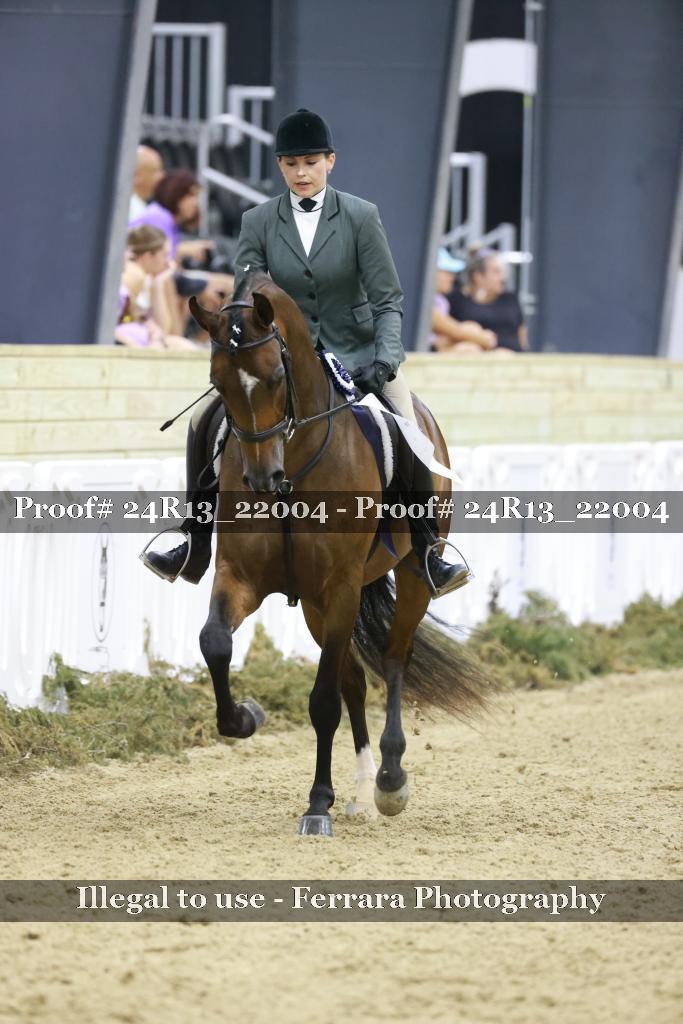 Proof 24R13_22004
