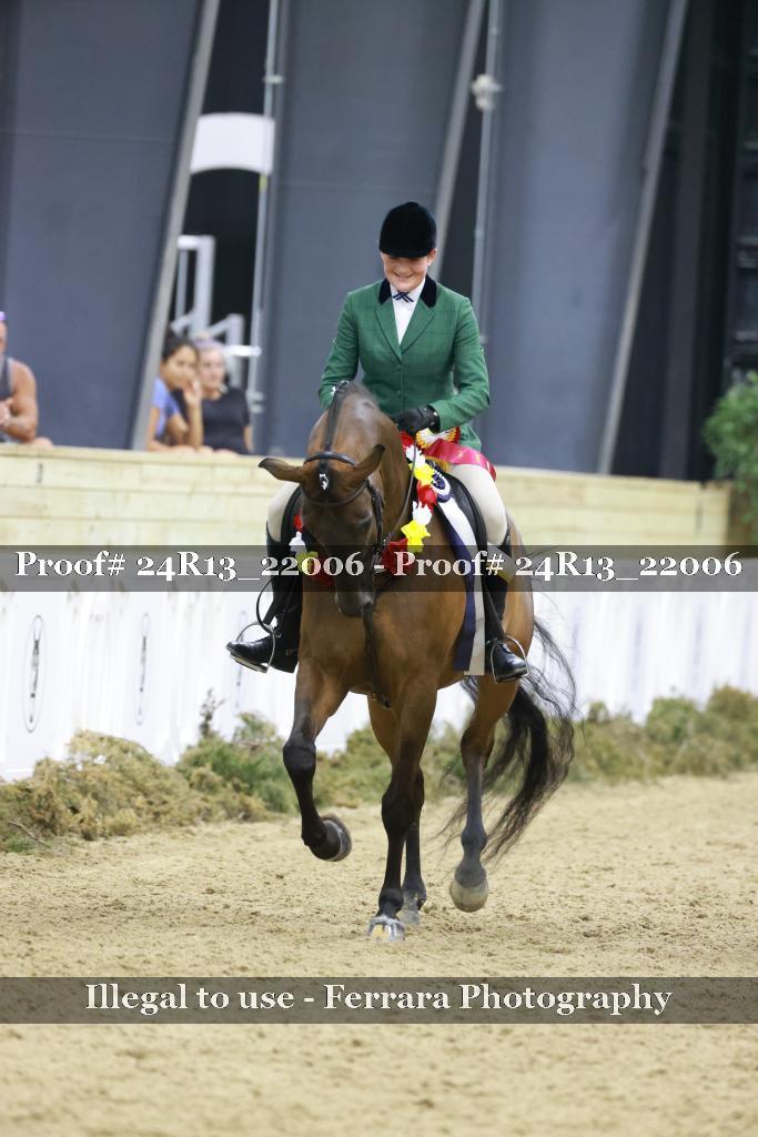 Proof 24R13_22006
