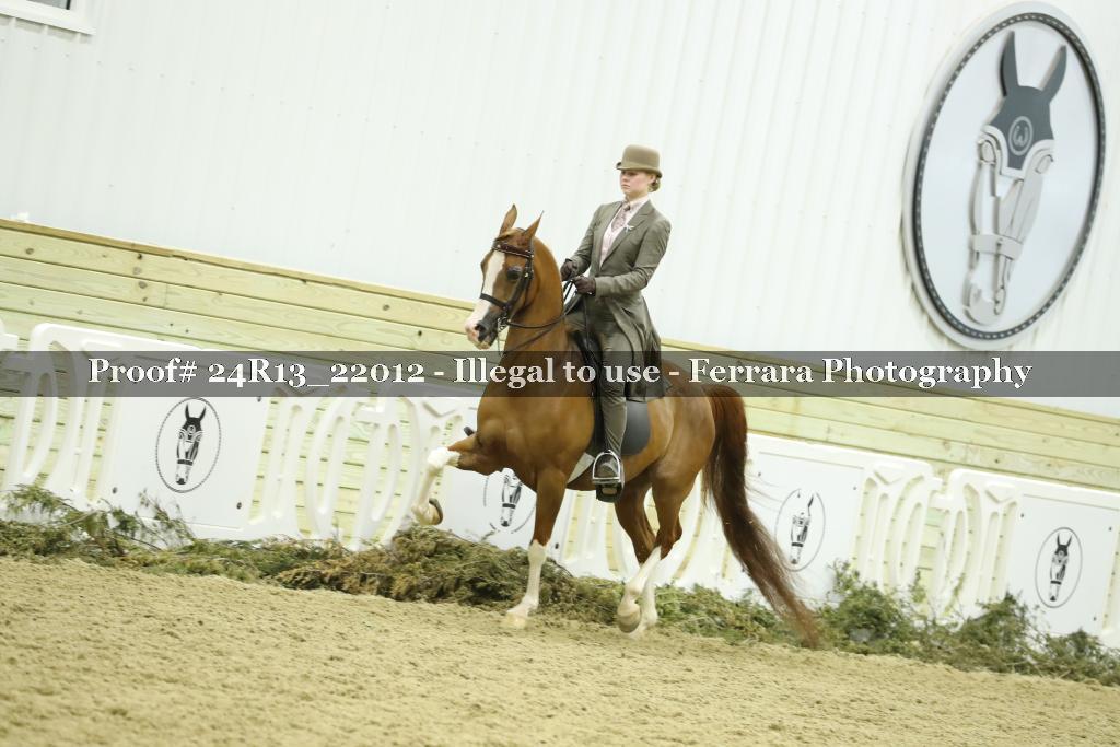 Proof 24R13_22012