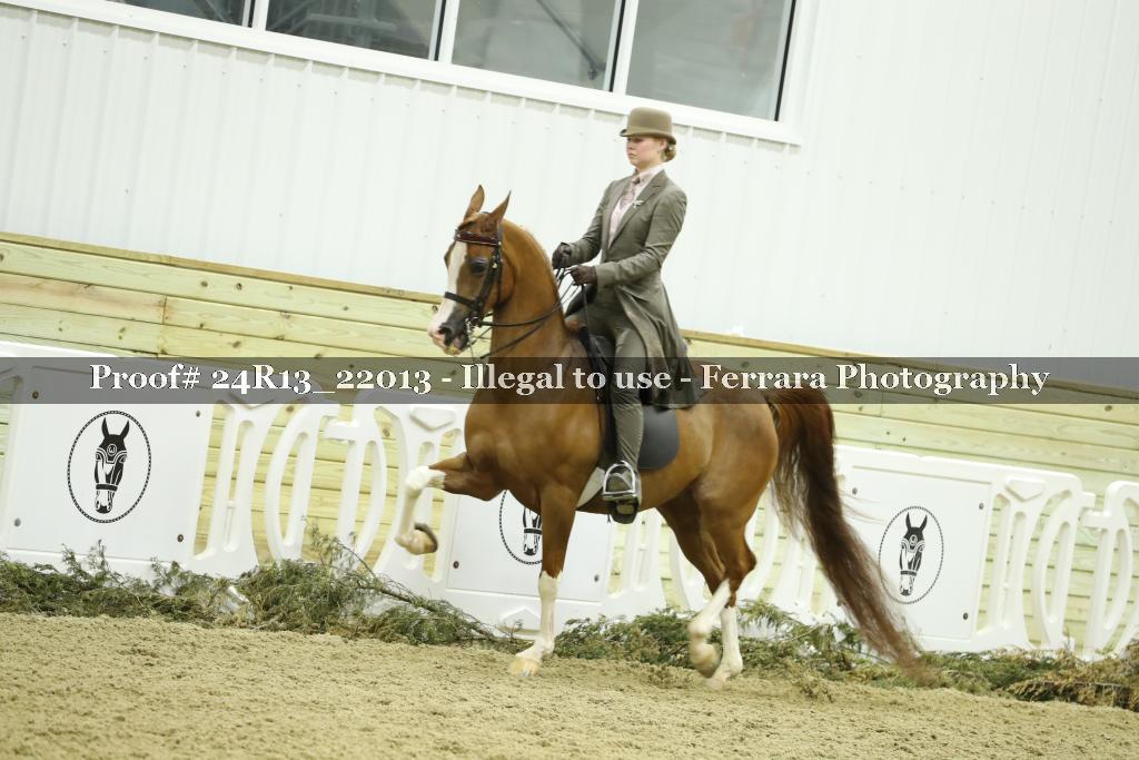 Proof 24R13_22013