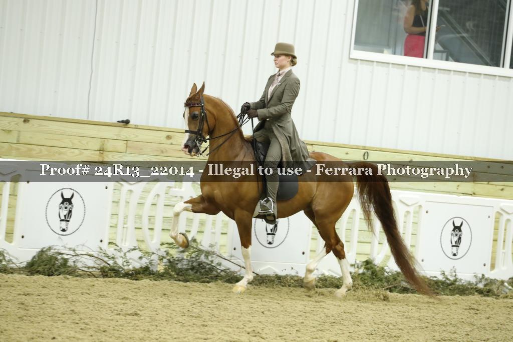 Proof 24R13_22014