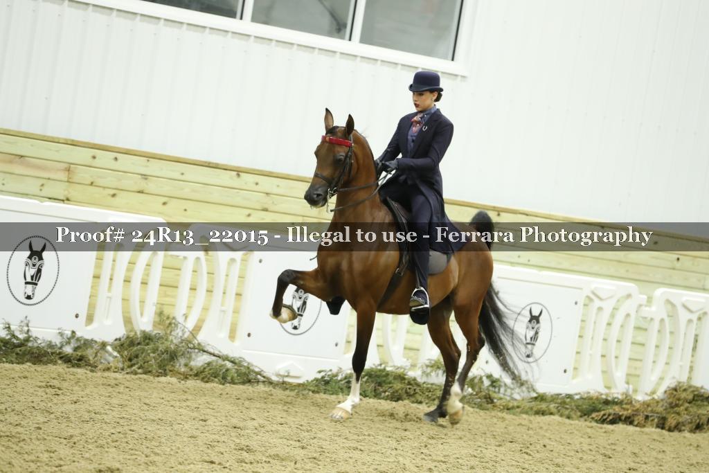 Proof 24R13_22015