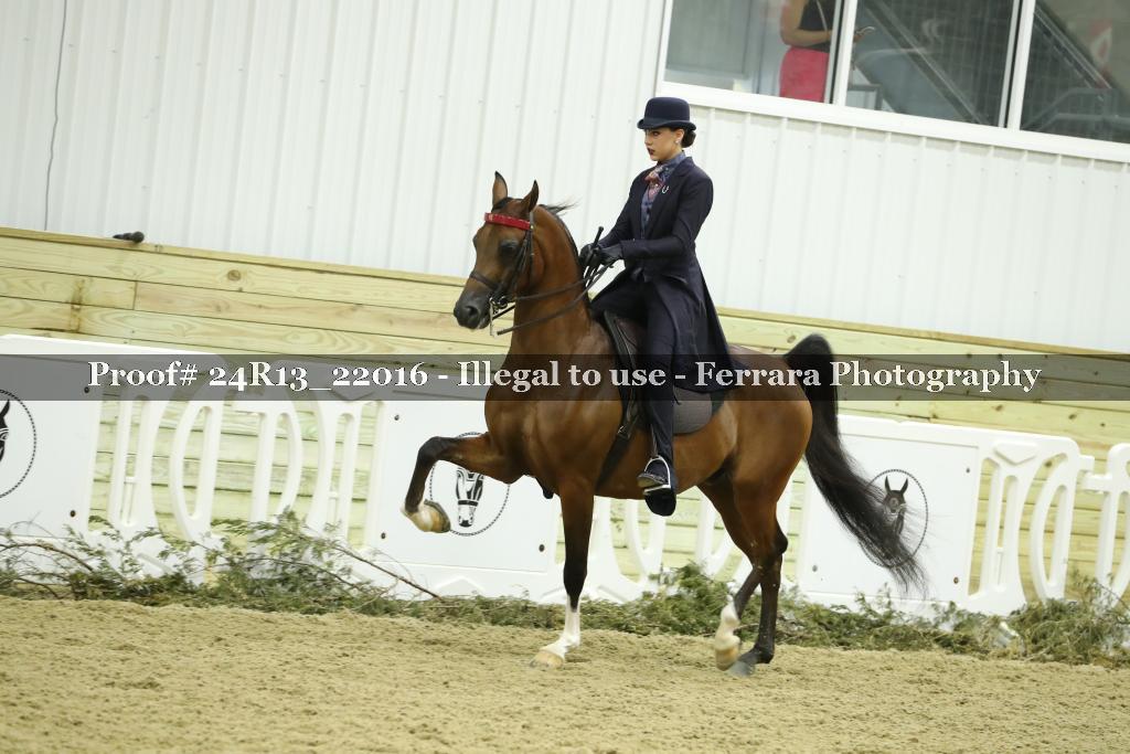 Proof 24R13_22016