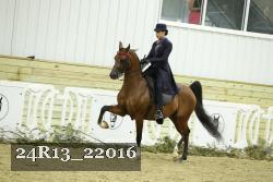 24R13_22016 proof